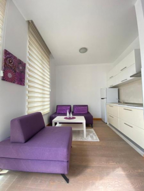 Aledora Studio Apartment